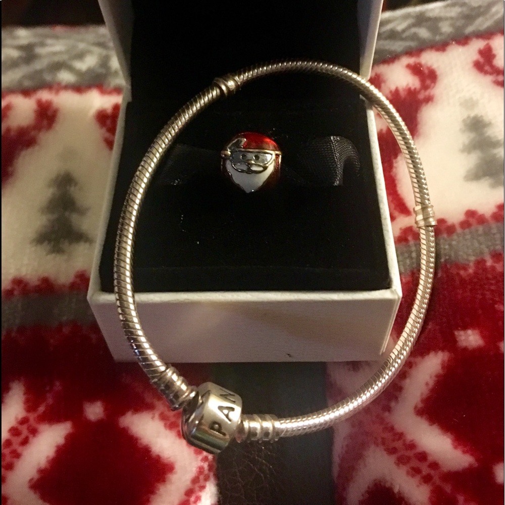 Pandora Bracelet and Pandora Charm
